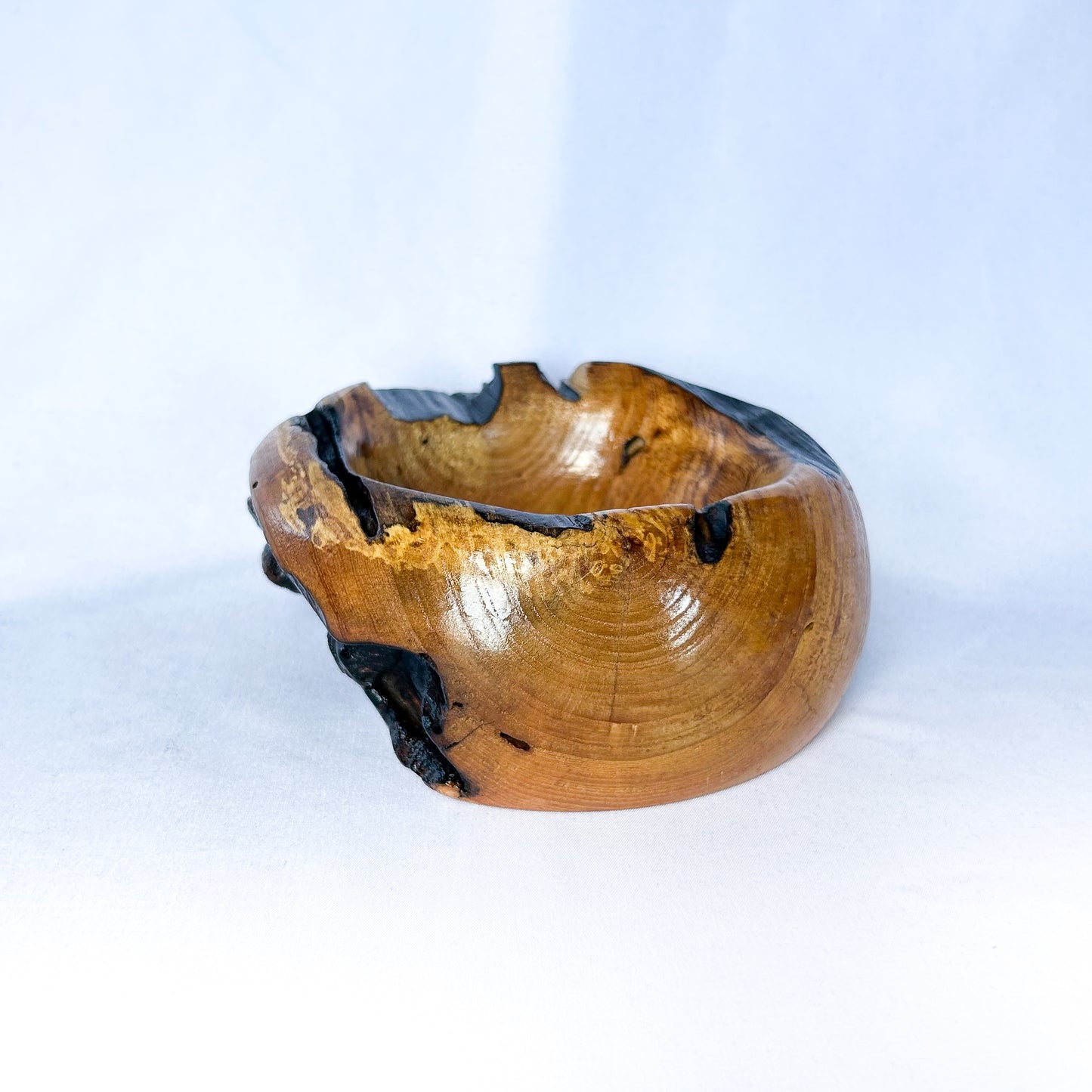 Decayed Oak Bowl