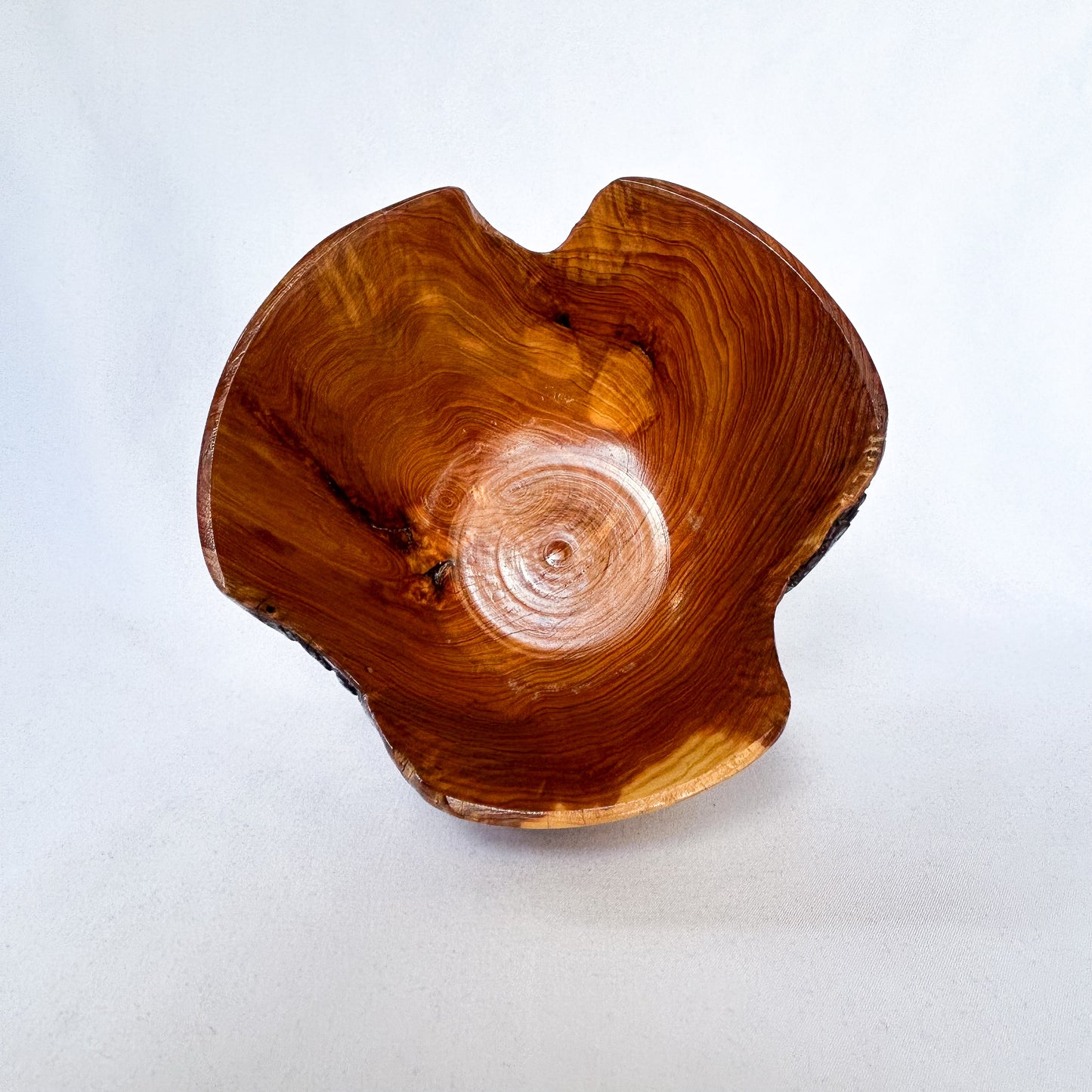 Variegated Decayed Cedar Bowl