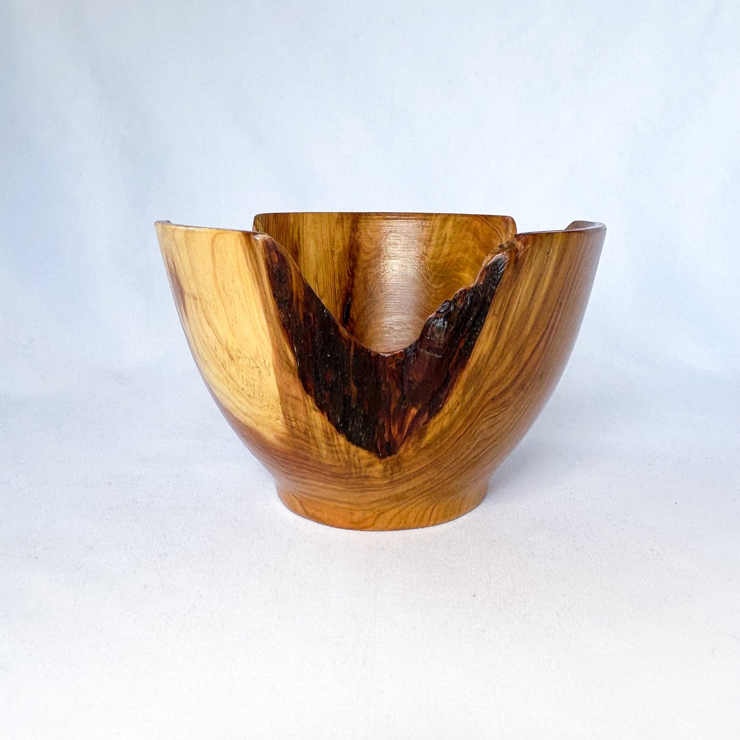 Variegated Decayed Cedar Bowl