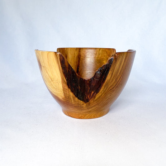 Variegated Decayed Cedar Bowl
