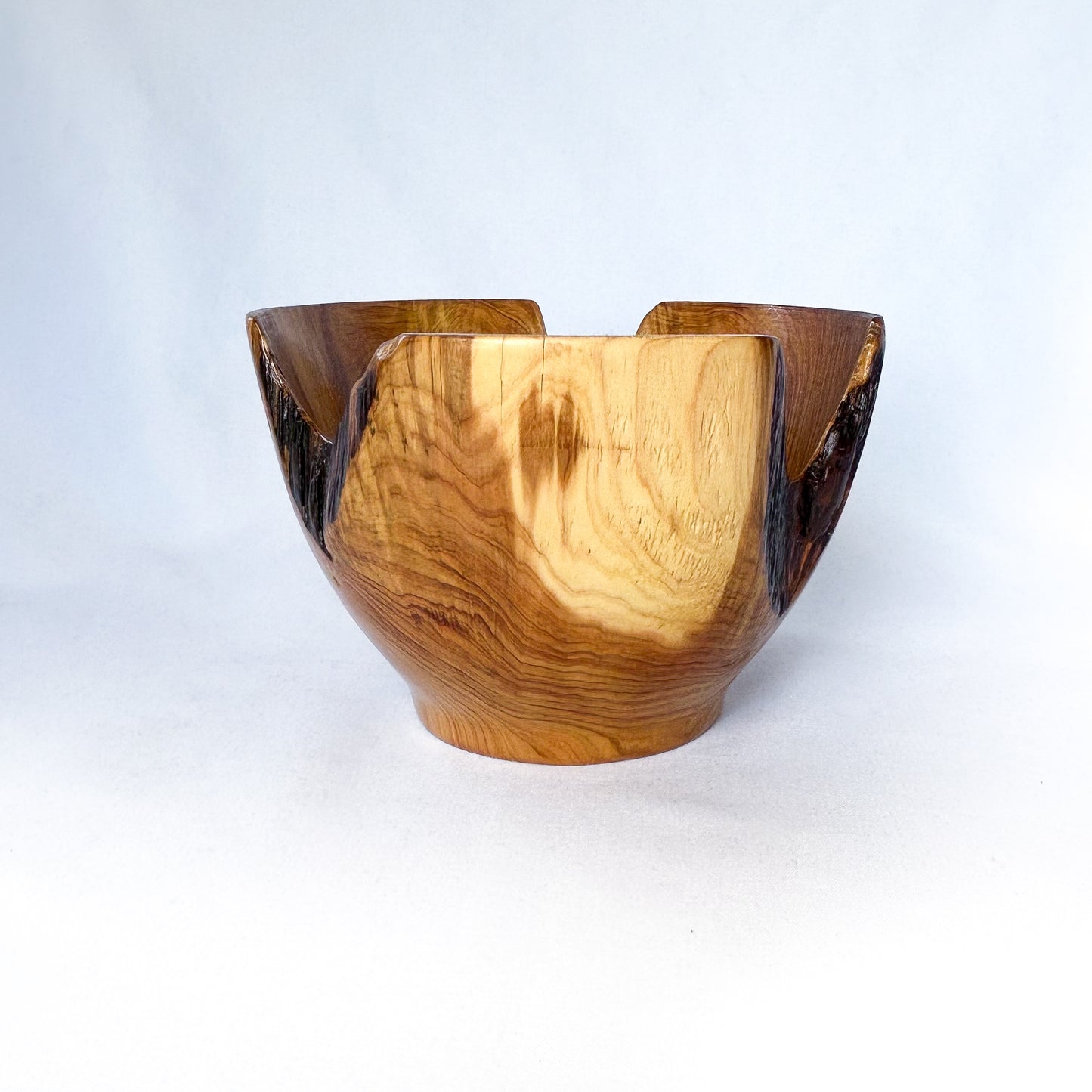 Variegated Decayed Cedar Bowl