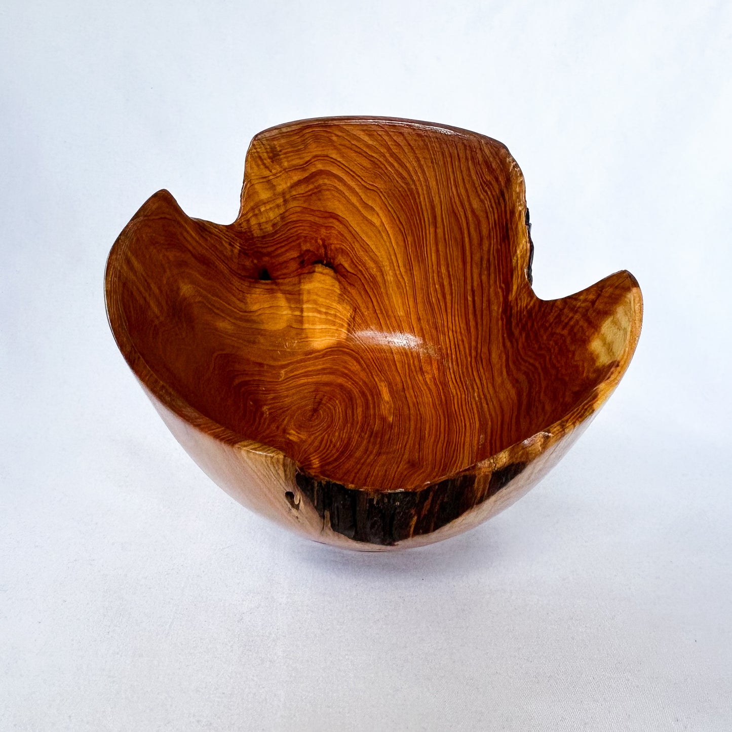 Variegated Decayed Cedar Bowl